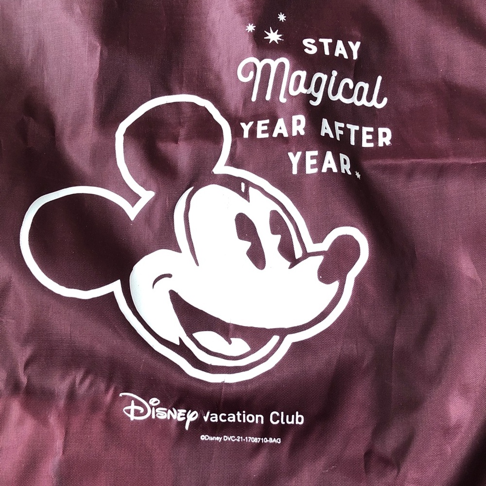 🧡 Disney Vacation Club Drawstring Backpack - Picture 2 of 6